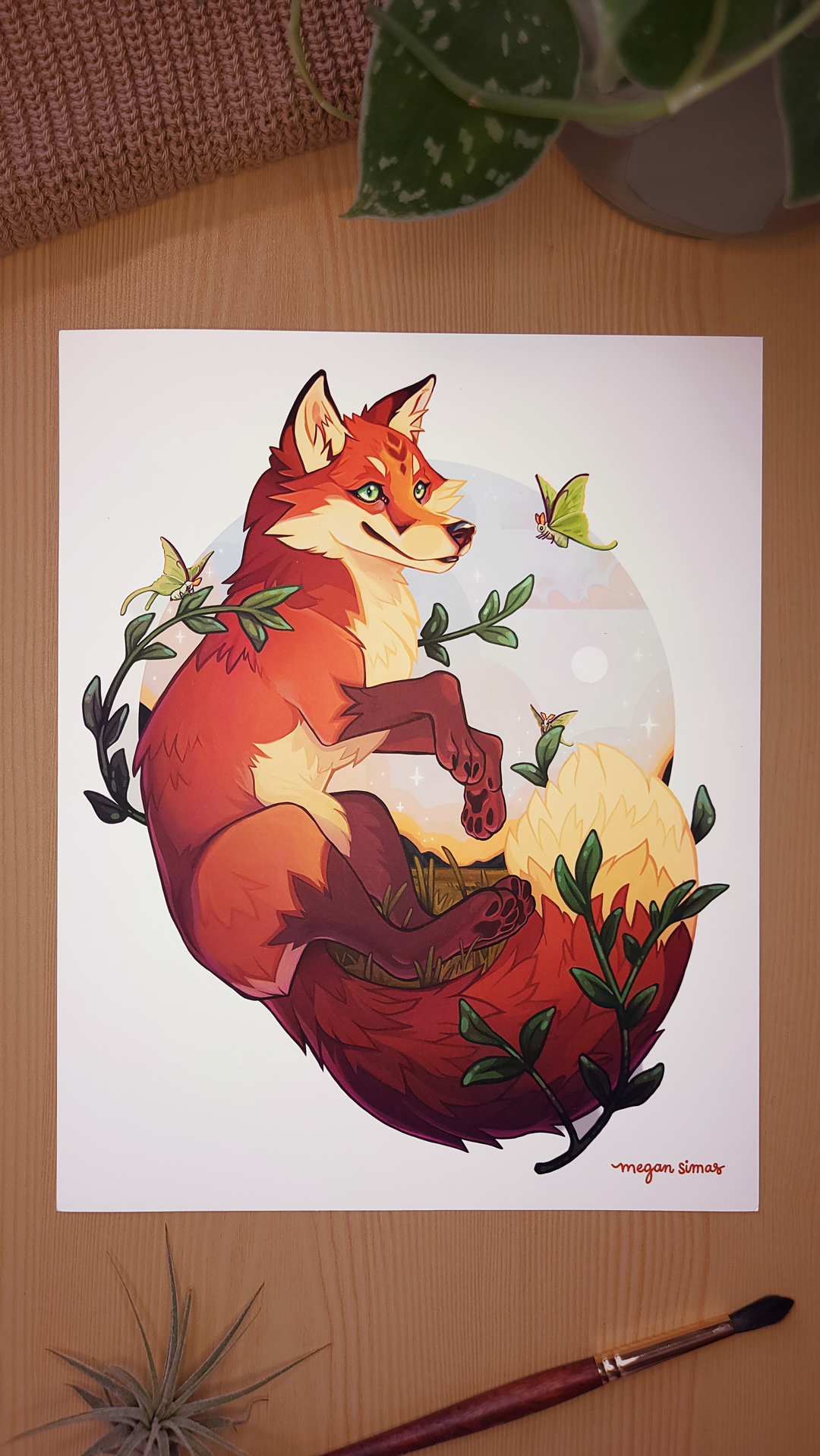 Aurora Fox