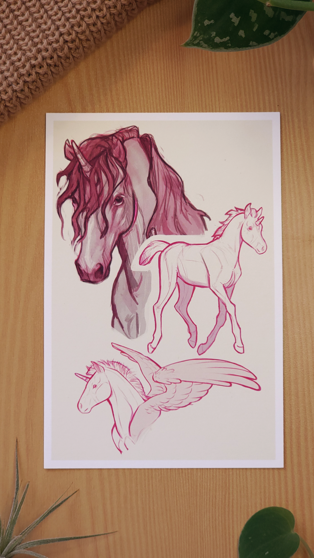 Pink Unicorns